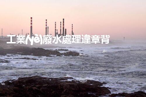 工業(yè)廢水處理違章背后：企業(yè)生存與環(huán)境保護(hù)的博弈？